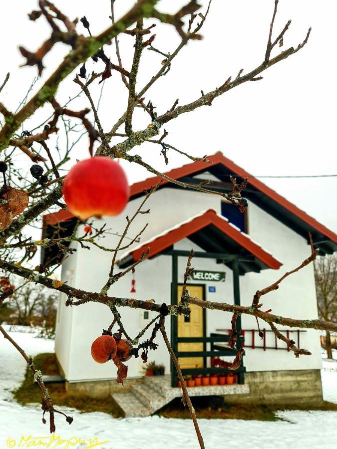Kosta'S Romantic House プラヴ エクステリア 写真