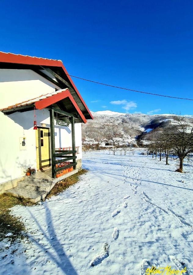Kosta'S Romantic House プラヴ エクステリア 写真