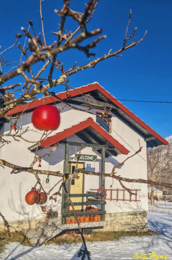 Kosta'S Romantic House プラヴ エクステリア 写真