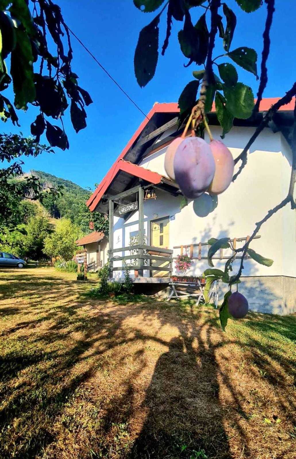 Kosta'S Romantic House プラヴ エクステリア 写真